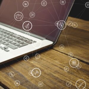 IT & IT Related Services